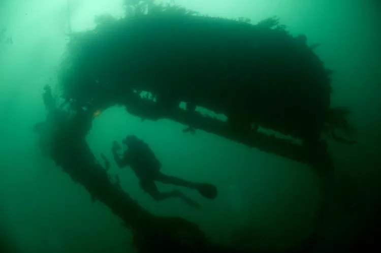 Diver on Rondo wreck, Sound of Mull and Oban, Scotland, UK. Photo by Steve Jones