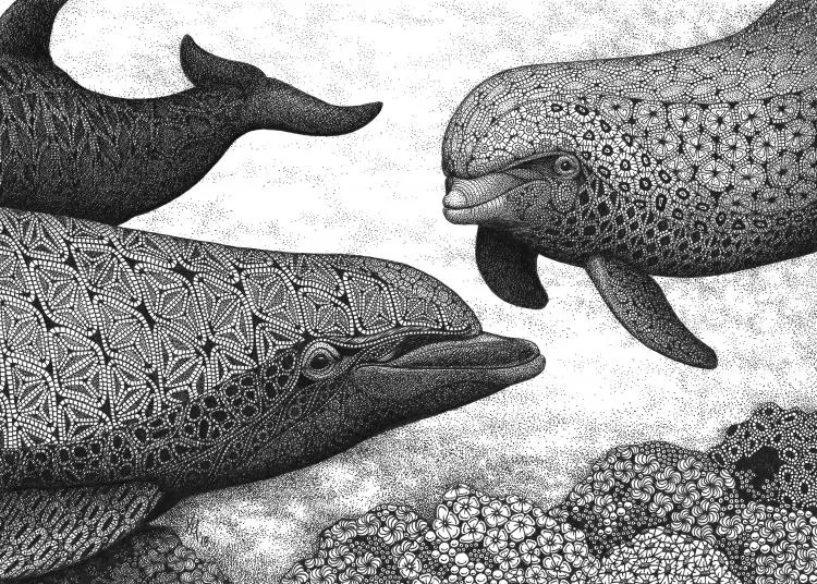 Dolphins, by Kristin Moger. Micron ink on paper,  8 x 10 inches