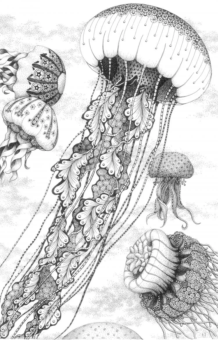 Jellyfish Dance, by Kristin Moger. Micron ink on paper, 17 x 11 inches