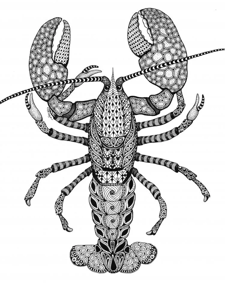 Lobster, by Kristin Moger. Micron ink on paper,  10 x 8 inches