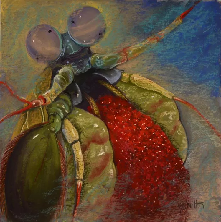 Peacock Mantis with Eggs, pastel, 18x18 inches, by Judith Gebhard Smith