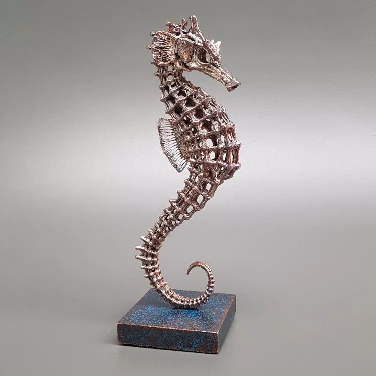 Seahorse, by Dave Clarke