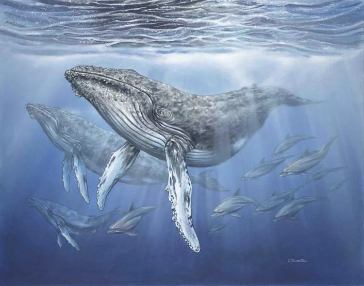 Humpbacks, 22 x 28in, acrylic on canvas board, by Curtis Atwater