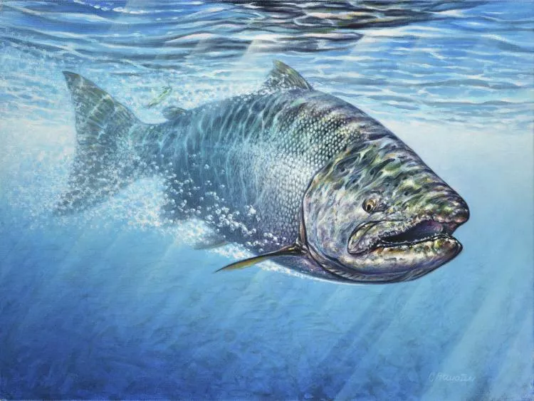 Warrior King Chinook Salmon, by Curtis Atwater