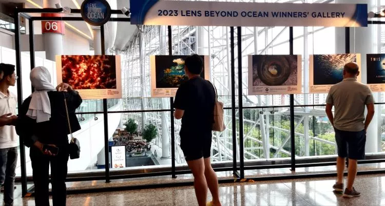Images by Lens Beyond Ocean competition winners were on display in the gallery