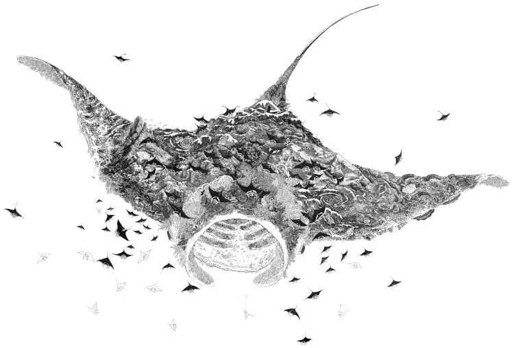 Leviathan Ray, by Olivier Leger. Ink drawing on paper, 140 x 170cm
