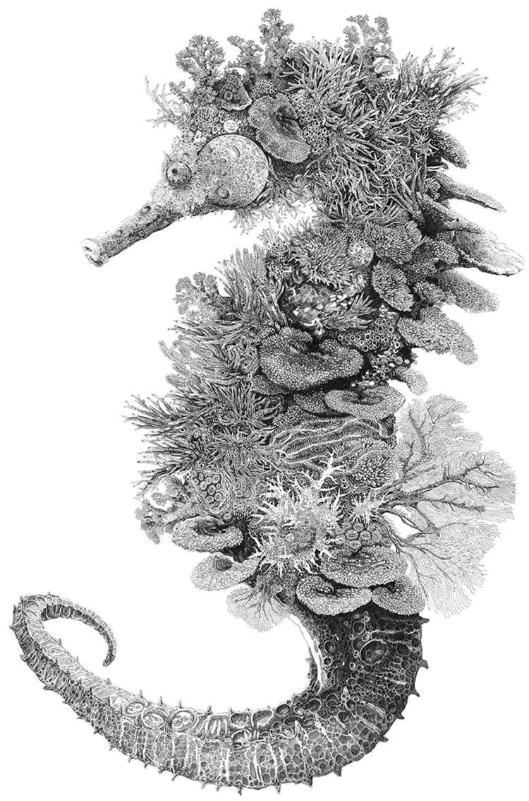 Seahorse, by Olivier Leger. Ink drawing on paper, 70 x 50cm 