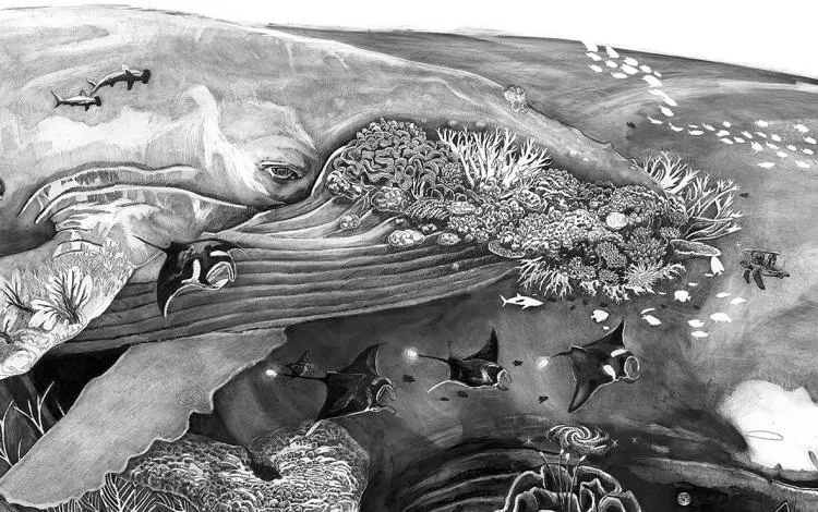 Detail of Whaley McWhaleface, by Olivier Leger. Ink drawing on gesso,  1.2 x 2.2 metres