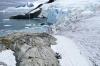 Retreating ice, caused by climate change, has exposed the rocky shoreline of Cape Rasmussen on the Antarctic Peninsula. 